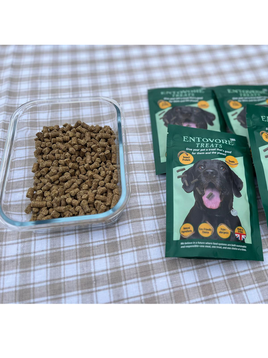 Unmasked: Cold Pressed Dog Food